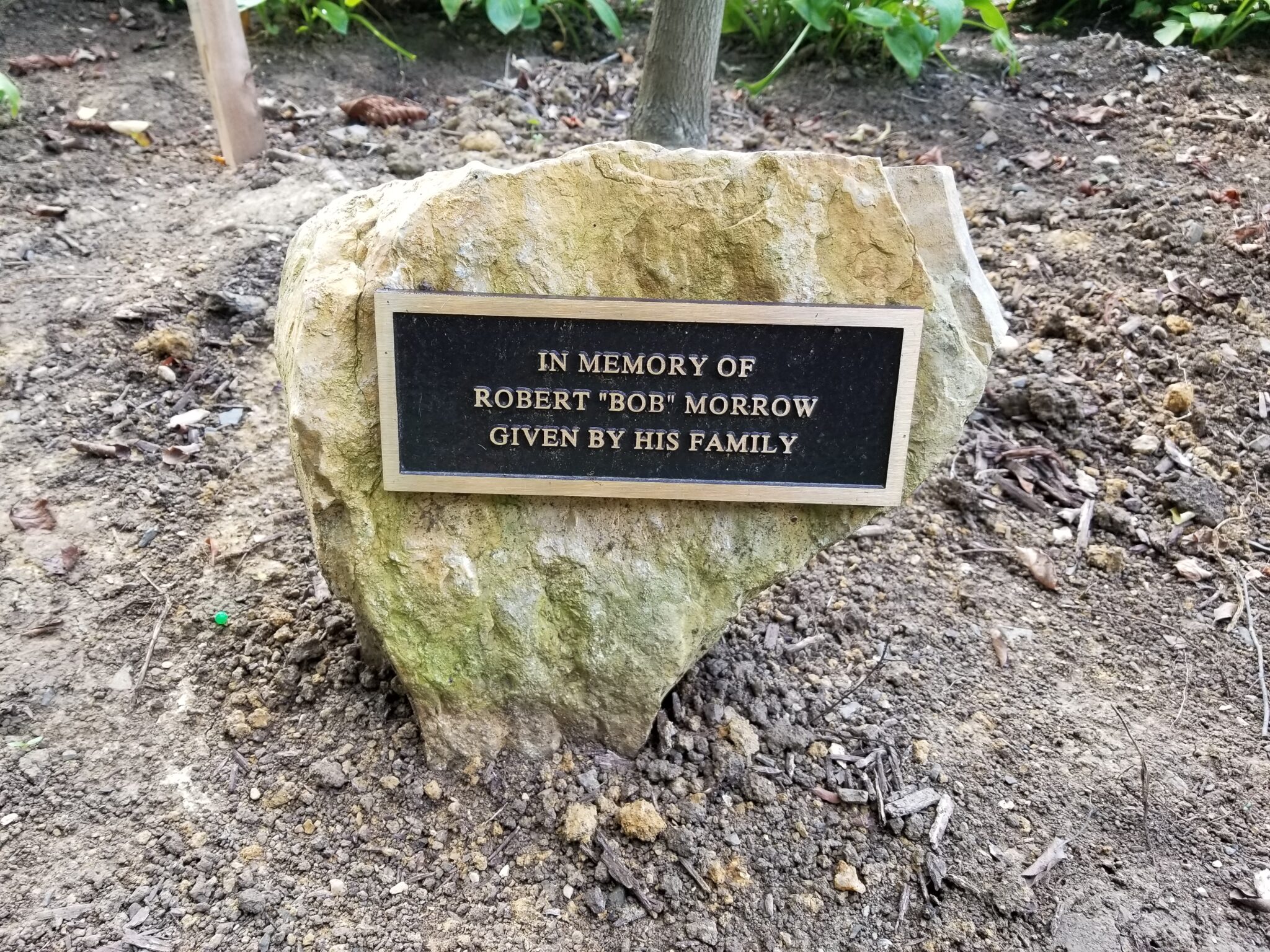 Memorial Trees Renfrew Museum and Park