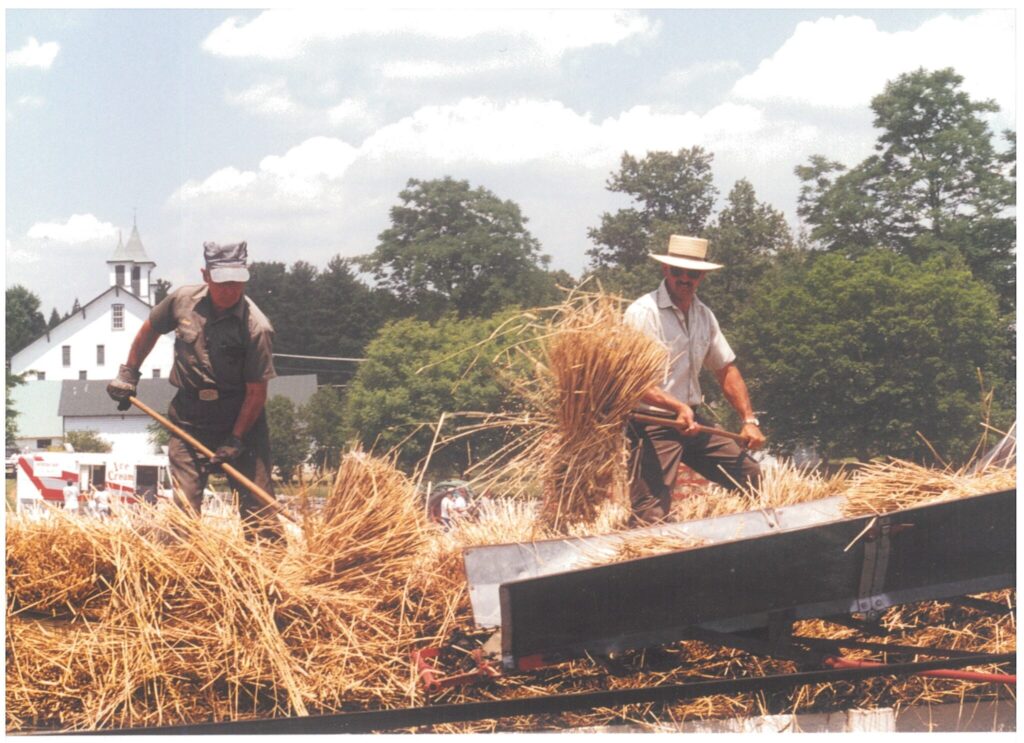 Threshing 1