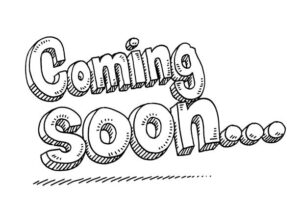 istockphoto-1271496054-612x612
