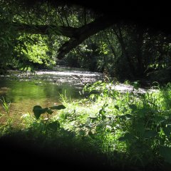 Antietam Creek