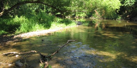 Antietam Creek